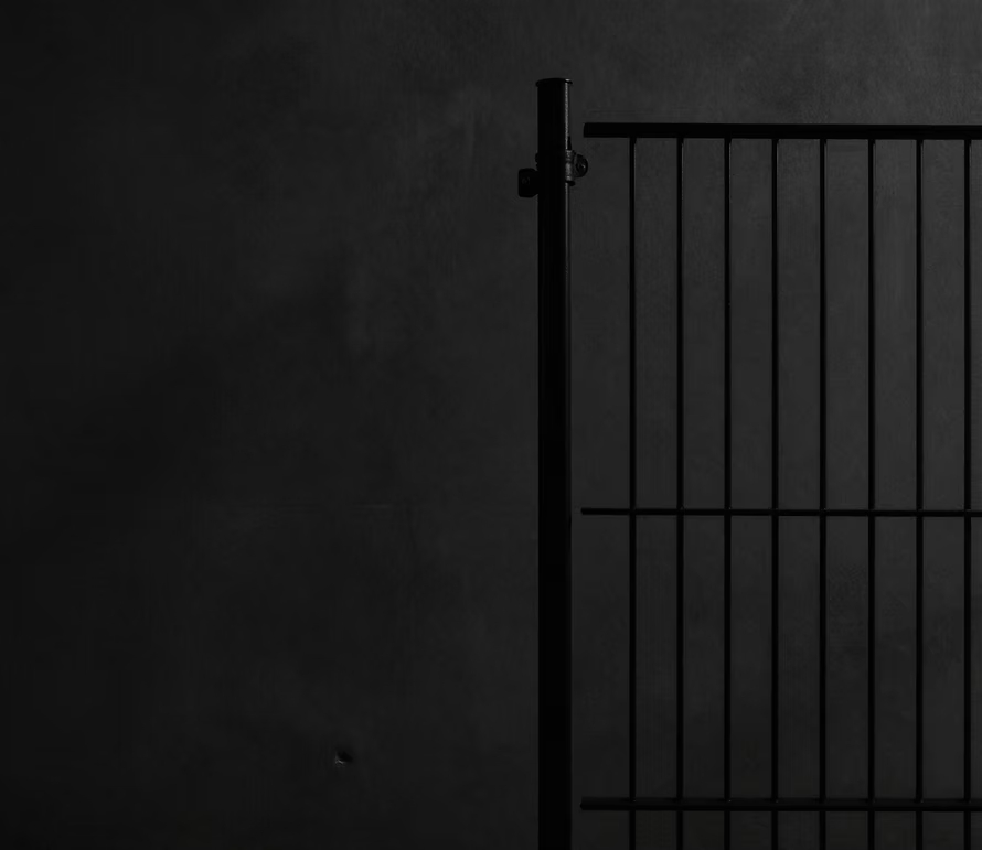 Timber Fence services — Premium Fencing and Outdoor